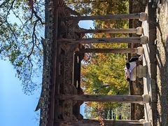 -塔川景区