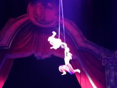 -珠海横琴长隆《卡卡虎奇遇记》