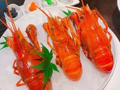 -甄御•海鲜新青岛菜(麦岛店)