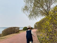 -丁香湖公园