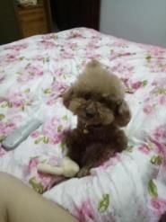 -骐奇宠物诊疗中心(南亭公路店)