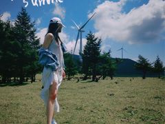 -空中草原
