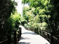 -树山生态村