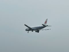 -空港花田景区