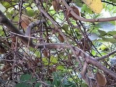 -西宁福茵长乐国际大酒店