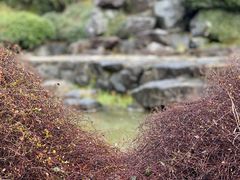 -上海辰山植物园