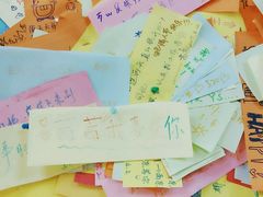 -志龙皇冠吃货椰子铺