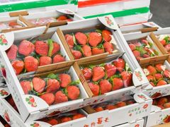 -西郊国际农产品交易中心