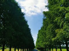 -嘉北郊野公园