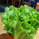 性价比高又好吃的东北烤肉