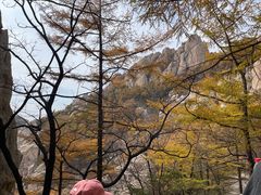 -崂山巨峰游览区