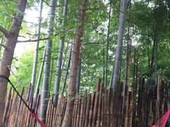 -天目湖御水温泉·度假酒店