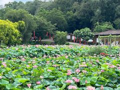 -广州莲花山旅游区