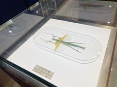 -上海昆虫博物馆