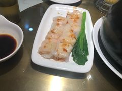-南枝记