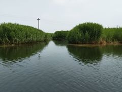 -白洋淀景区