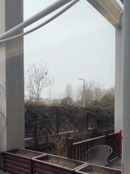 -安琪朵朵独栋花园月子中心