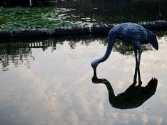 -苏州河梦清园环保主题公园