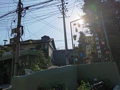 -三圣花乡旅游区