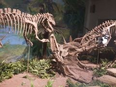 -自贡恐龙博物馆
