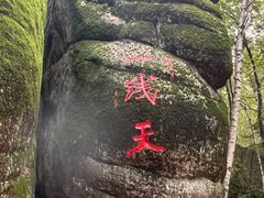 -汤旺河林海奇石景区