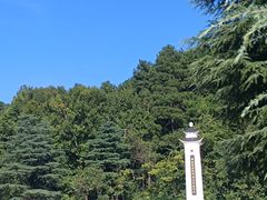 -黔灵山公园