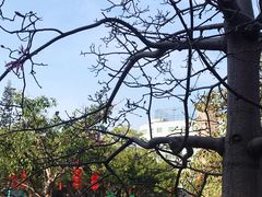 -广州雕塑公园