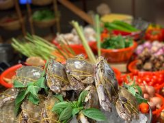 -味餐厅·海鲜·火锅·自助餐