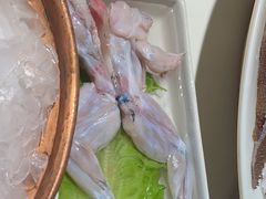 -九鼎轩脆毛肚火锅(南京东路店)