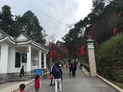 -广州市帽峰山景区