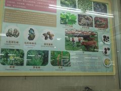 -北京中医药大学-中医药博物馆