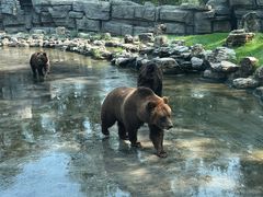 -北京野生动物园