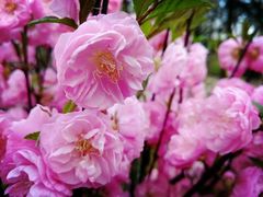 -西安关中民俗艺术博物院
