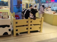 -红星前进面包牛奶公司(君太店)