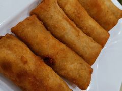 春卷-东康桂家农庄