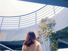 -芒洲湿地公园