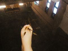 -深业半汤御泉庄温泉