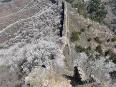 -蟠龙山长城景区
