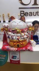 -CICI纤美·科技减肥美容