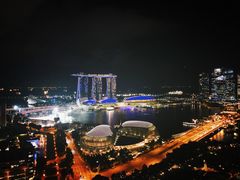 -新加坡瑞士史丹福酒店