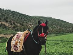 -扁都口生态休闲旅游区