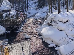 -峡谷浮石林景区