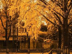 -西园戒幢律寺