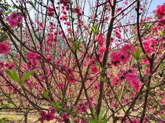 -水濂山森林公园