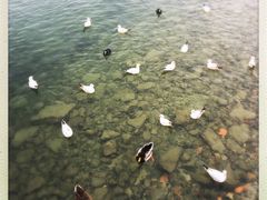 -CGV影城(梅江ScreenX店)