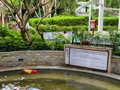 -碧水湾温泉