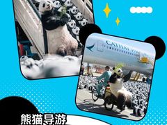 -星光大道