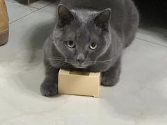 -美联众合动物医院·24h转诊中心
