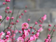 -老门东历史文化街区