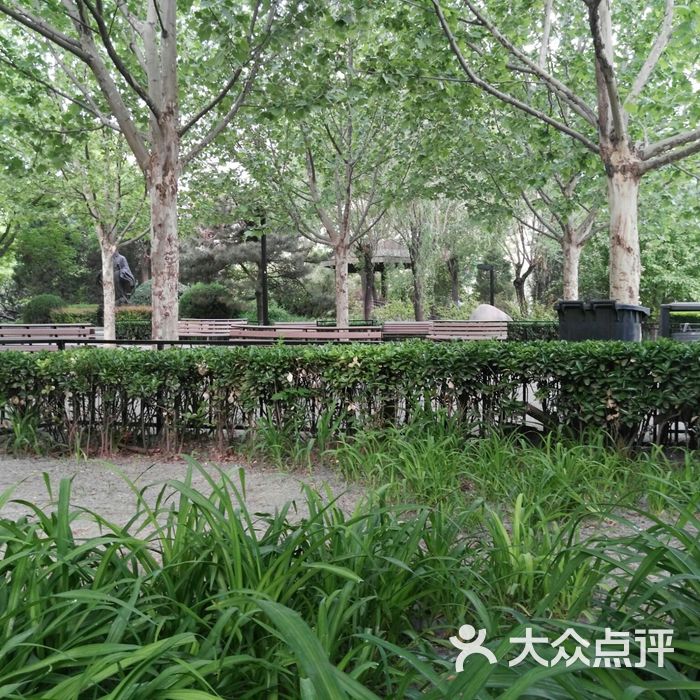 安贞社区街心公园